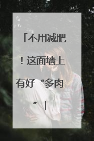 不用减肥！这面墙上有好“多肉”