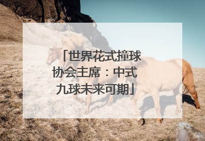 世界花式撞球协会主席：中式九球未来可期