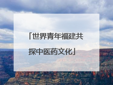 世界青年福建共探中医药文化