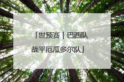 世预赛｜巴西队战平厄瓜多尔队