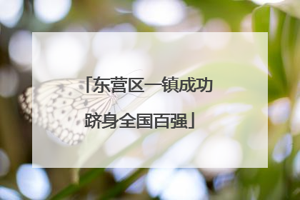 东营区一镇成功跻身全国百强