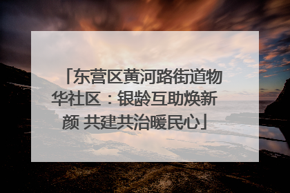东营区黄河路街道物华社区：银龄互助焕新颜 共建共治暖民心