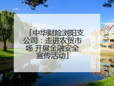 中华财险浏阳支公司：走进农贸市场 开展金融安全宣传活动