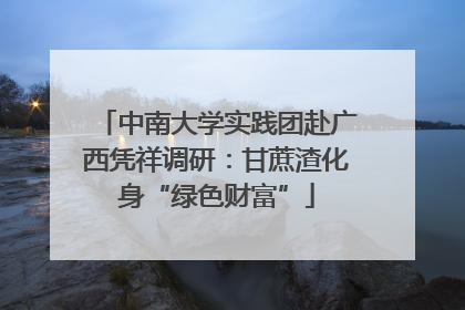 中南大学实践团赴广西凭祥调研：甘蔗渣化身“绿色财富”