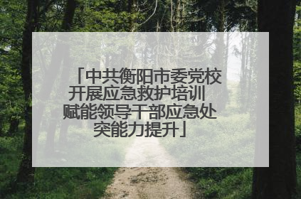 中共衡阳市委党校开展应急救护培训 赋能领导干部应急处突能力提升