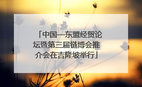 中国—东盟经贸论坛暨第三届链博会推介会在吉隆坡举行