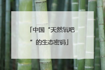 中国“天然氧吧”的生态密码