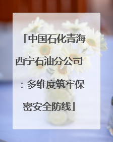 中国石化青海西宁石油分公司：多维度筑牢保密安全防线
