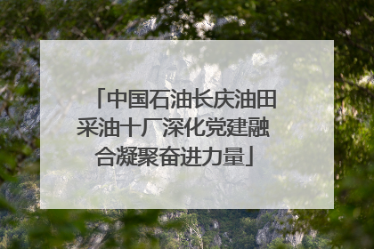 中国石油长庆油田采油十厂深化党建融合凝聚奋进力量