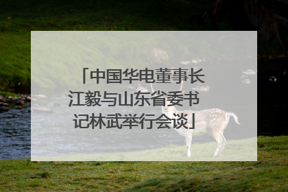 中国华电董事长江毅与山东省委书记林武举行会谈