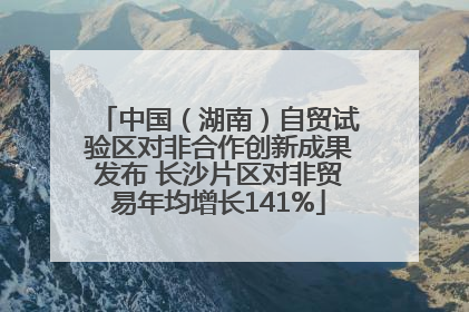 中国（湖南）自贸试验区对非合作创新成果发布 长沙片区对非贸易年均增长141%