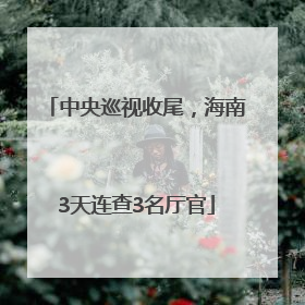 中央巡视收尾，海南3天连查3名厅官