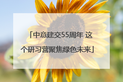 中意建交55周年 这个研习营聚焦绿色未来