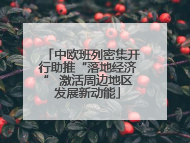中欧班列密集开行助推“落地经济” 激活周边地区发展新动能