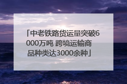 中老铁路货运量突破6000万吨 跨境运输商品种类达3000余种