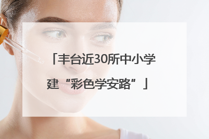 丰台近30所中小学建“彩色学安路”