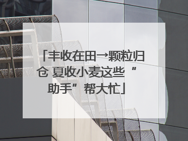 丰收在田→颗粒归仓 夏收小麦这些“助手”帮大忙
