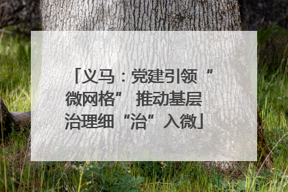 义马：党建引领“微网格” 推动基层治理细“治”入微