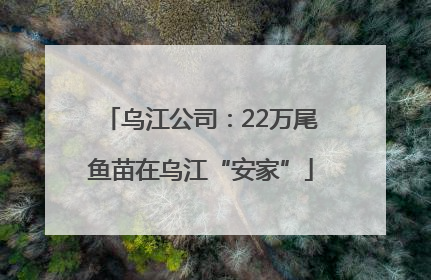 乌江公司：22万尾鱼苗在乌江“安家”