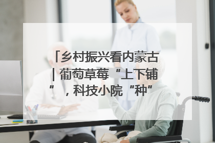 乡村振兴看内蒙古｜葡萄草莓“上下铺”，科技小院“种”出三倍效益