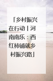 乡村振兴在行动丨河南南乐：西红柿铺就乡村振兴路