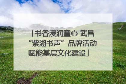书香浸润童心 武昌“紫湖书声”品牌活动赋能基层文化建设