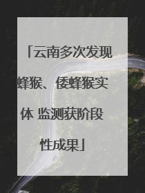 云南多次发现蜂猴、倭蜂猴实体 监测获阶段性成果