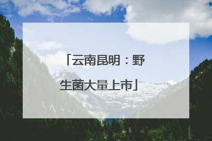 云南昆明：野生菌大量上市