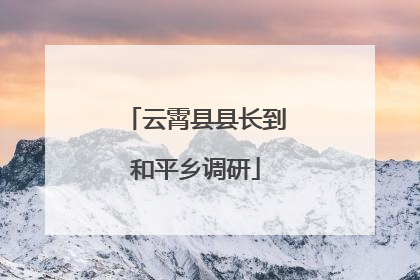 云霄县县长到和平乡调研