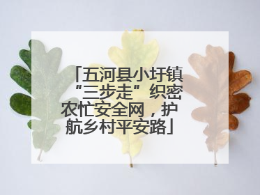 五河县小圩镇“三步走”织密农忙安全网，护航乡村平安路