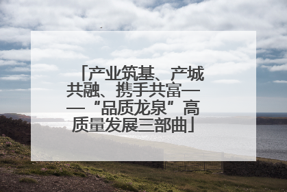 产业筑基、产城共融、携手共富——“品质龙泉”高质量发展三部曲