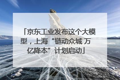 京东工业发布这个大模型，上海“链动众城 万亿降本”计划启动