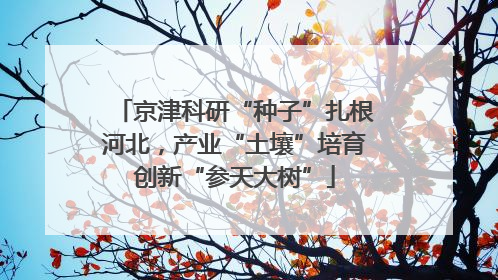 京津科研“种子”扎根河北，产业“土壤”培育创新“参天大树”