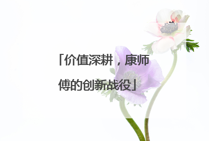 价值深耕，康师傅的创新战役