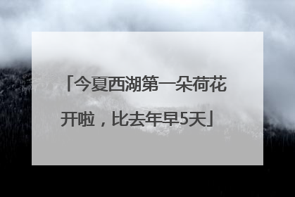 今夏西湖第一朵荷花开啦，比去年早5天