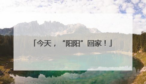 今天，“阳阳”回家！