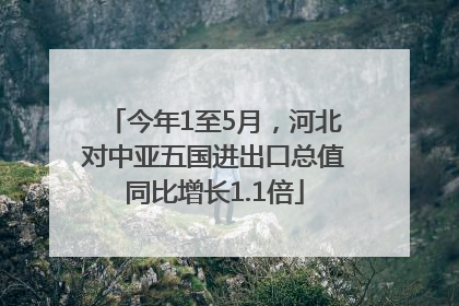 今年1至5月，河北对中亚五国进出口总值同比增长1.1倍
