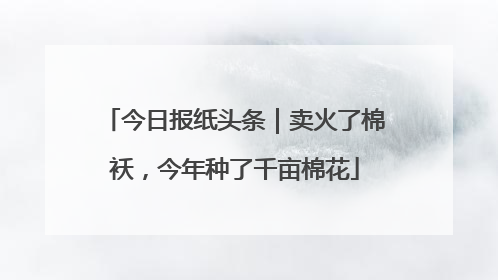 今日报纸头条｜卖火了棉袄，今年种了千亩棉花