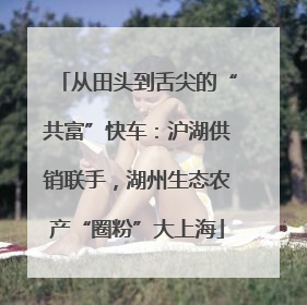 从田头到舌尖的“共富”快车：沪湖供销联手，湖州生态农产“圈粉”大上海