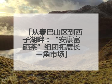 从秦巴山区到西子湖畔：“安康富硒茶”组团拓展长三角市场