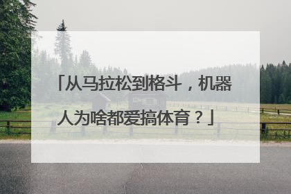 从马拉松到格斗，机器人为啥都爱搞体育？