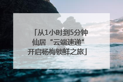 从1小时到5分钟 仙居“云端速递”开启杨梅锁鲜之旅