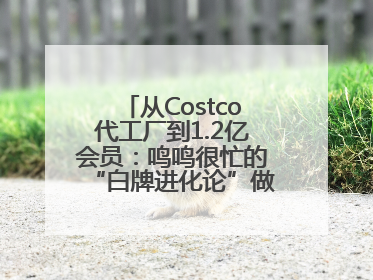 从Costco代工厂到1.2亿会员：鸣鸣很忙的“白牌进化论”做对了什么？