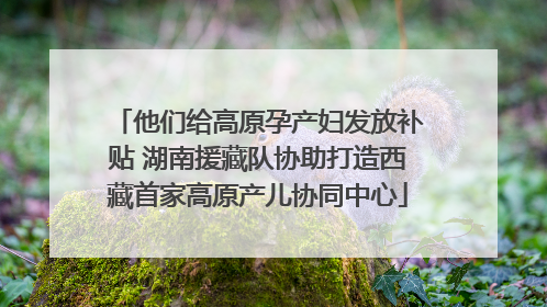 他们给高原孕产妇发放补贴 湖南援藏队协助打造西藏首家高原产儿协同中心
