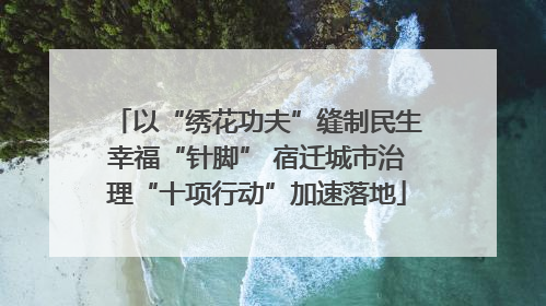 以“绣花功夫”缝制民生幸福“针脚” 宿迁城市治理“十项行动”加速落地