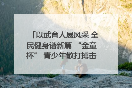 以武育人展风采 全民健身谱新篇 “金童杯” 青少年散打搏击邀请赛圆满落幕