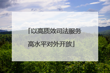 以高质效司法服务高水平对外开放
