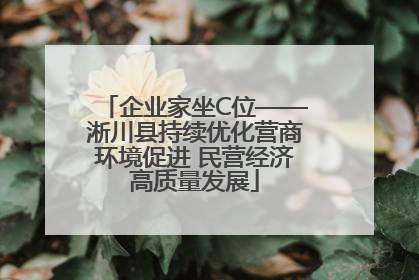 企业家坐C位——淅川县持续优化营商环境促进 民营经济高质量发展