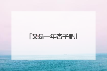 又是一年杏子肥