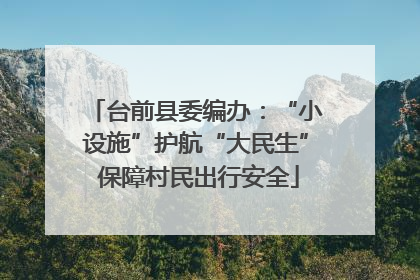 台前县委编办：“小设施”护航“大民生” 保障村民出行安全